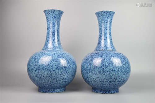 Qing Guangxu-A Pair of Snowflakes Blue Bottles