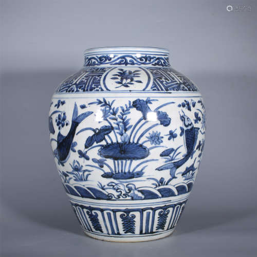 Ming Dynasty-Blue and White Jar