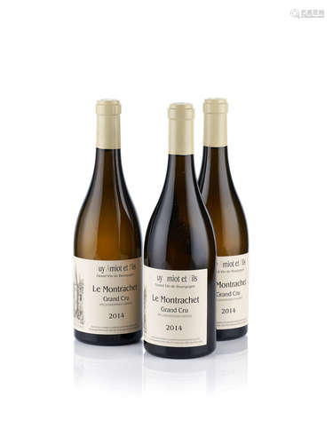 Montrachet 2014, Domaine Guy Amiot (6)