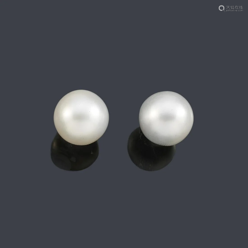 Short earrings with a pair of Australian pearls of