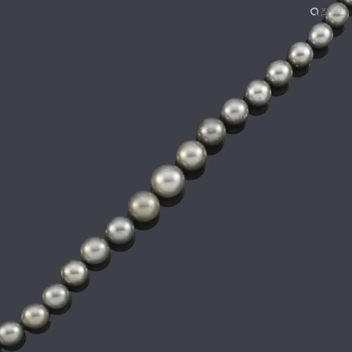 Short necklace with diminishing Tahitian pearls of