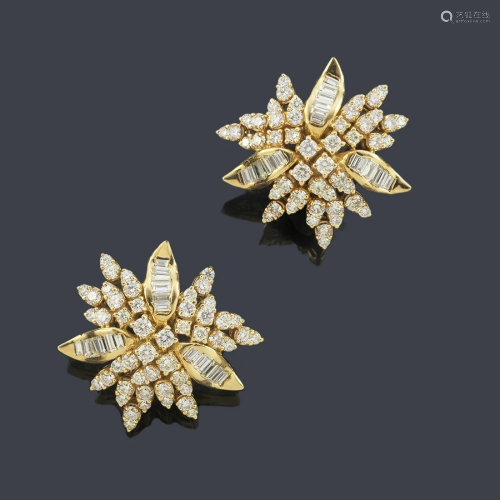 Short earrings with a plant motif front with