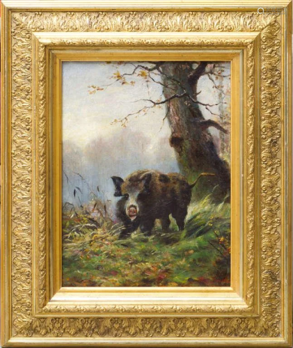 Wild boar in the forest; Willi Lorenz (1901-1981)