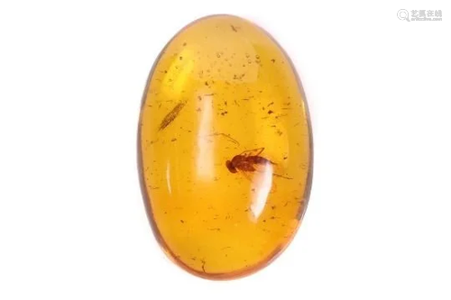 NO RESERVE PRICE Natural Baltic Amber with fly