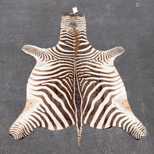 ZEBRA RUG, 8'9