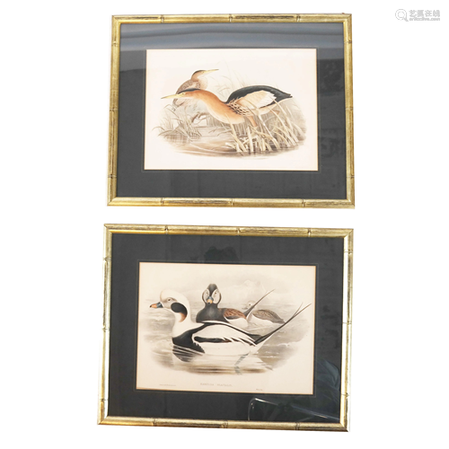 Pair Duck Prints, Framed Walter Imp