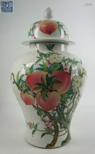 QIANLONG MARK FAMILLE ROSE GLAZE JAR