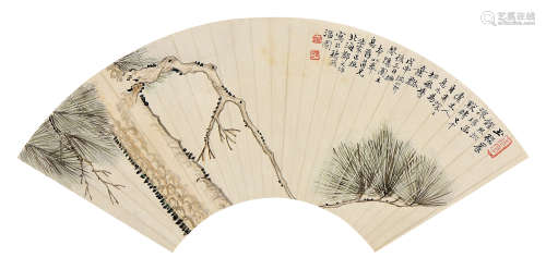 郑文焯（1856～1918） 戊申（1908年）作  松树 扇页 设色纸本