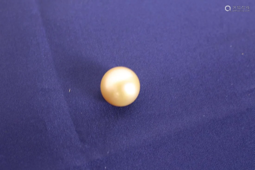 One Loose (undrilled) Genuine Golden South Sea Pearl of