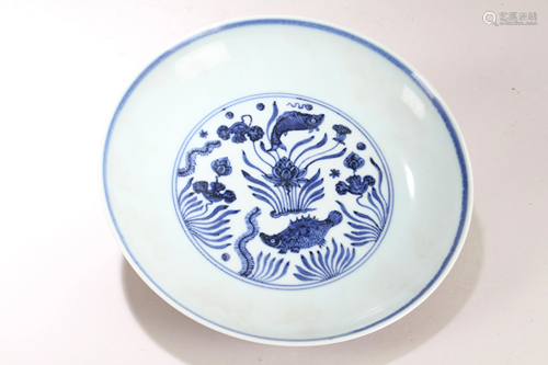 A Chinese Aqua-theme Blue and White Fortune Porcelain