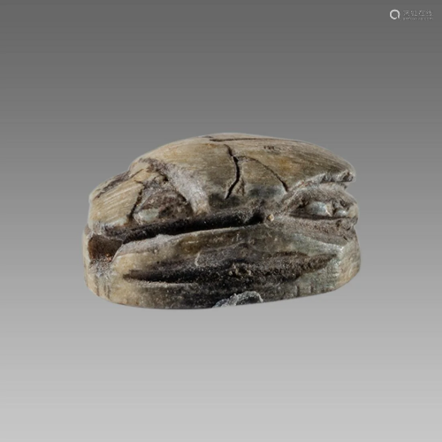 Ancient Egyptian Steatite stone Scarab c.1500-1100 BCE.