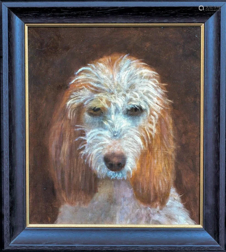 Dog Portrait Scuffy Terrier/Spaniel Oil Painting