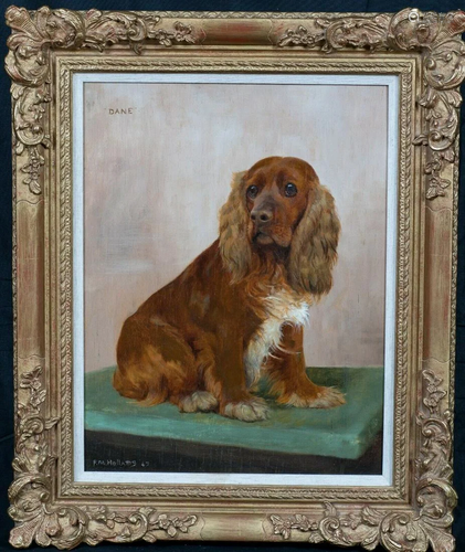 Cocker Spaniel Dog Portrait 