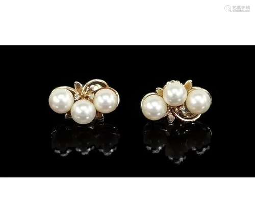 A Pair of Pearl Earrings.