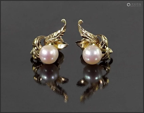 A Pair of Pearl Earrings.