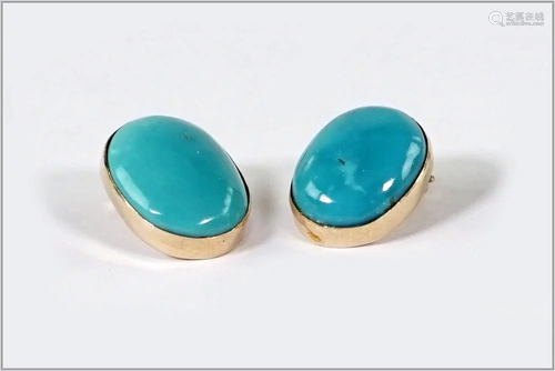 A Pair of Turquoise Earclips.