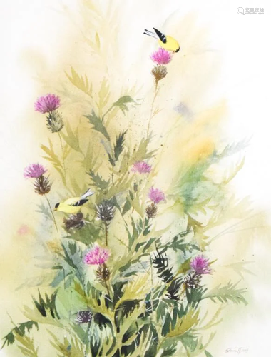 Edwin Havas Watercolor Birds & Flowers