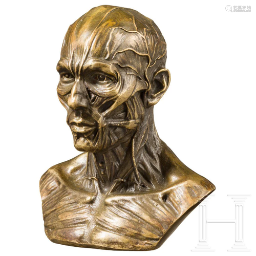 A probably German anatomical bust in bronze, circa 1900