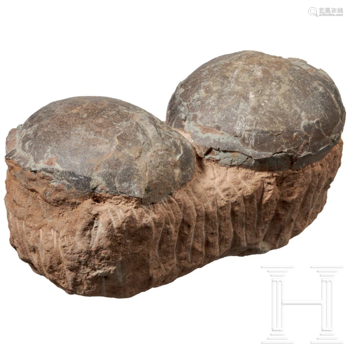 A pair of dinosaur eggs, Triassic to Cretaceous Period