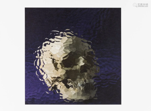 δ Marcus Harvey (b.1963) Skull