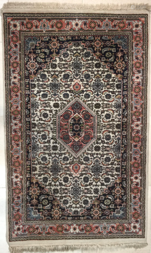 Persian walking rug