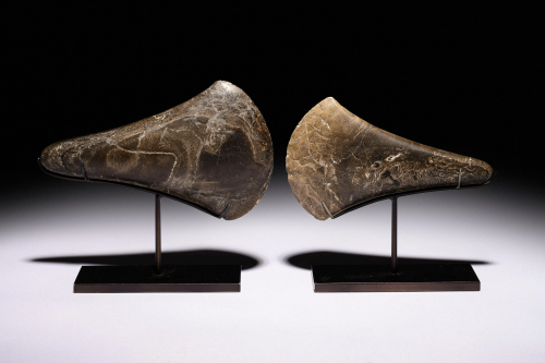 Two Early European Stone Axe Heads Width of largest 6