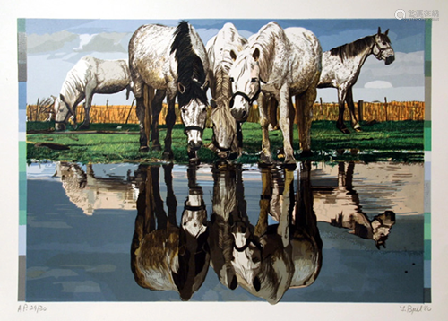 Fran Bull, Horses of the Camargue, Screenprint on