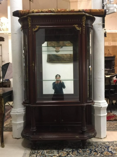 Pair of Louis XVI style display cabinets