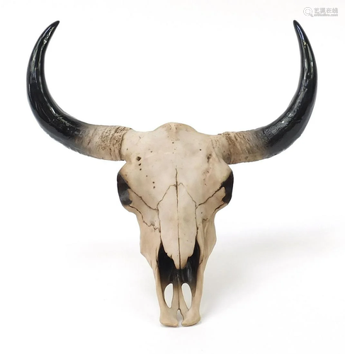 Modern decorative skull with horns, 42cm wide