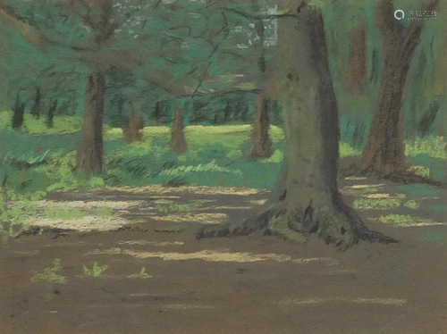 W Warren Perkins - A shady corner, Richmond Park,