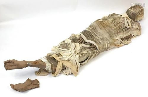 Large model of a Mummy, 205cm in length