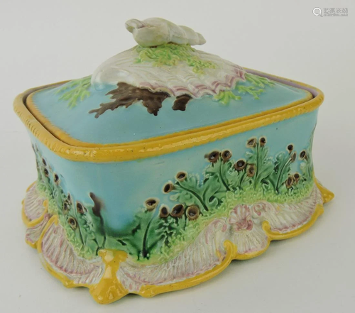 George Jones majolica sardine box