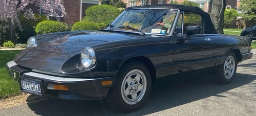 1984 Alfa Romeo Spider Veloce