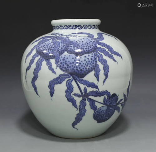 Blue and white porcelain pot