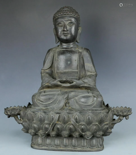 Large Black bronze budhha statue