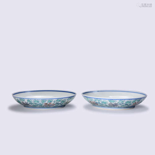 A PAIR OF  DOUCAI GLAZED CHRYSANTHEMUM SAUCERS