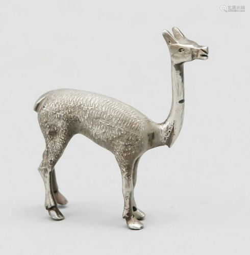 Miniature llama, 2nd half of 2