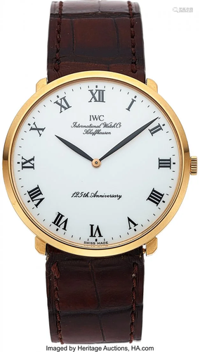 54066: IWC, International Watch Co. Fine Enameled Dial