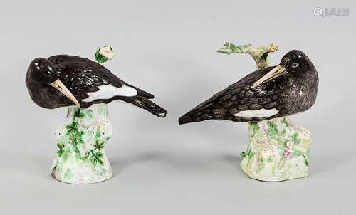 Pair of birds, probably Thurin