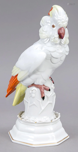 Cockatoo, Rosenthal, Selb, des