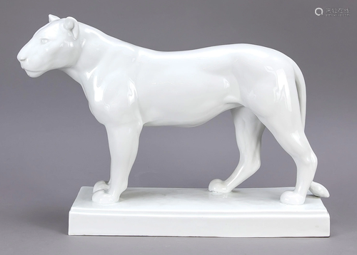 Standing lioness, Meissen, mar