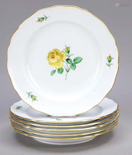 Six dinner plates, Meissen, af