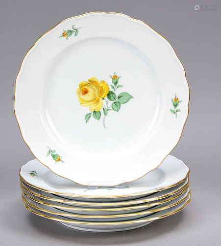 Six dinner plates, Meissen, af