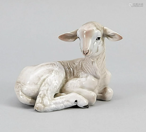 Lying lamb, Rosenthal, Bavaria