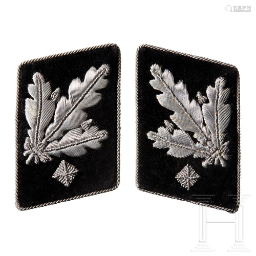 A Pair of Collar Tabs for SS-GruppenfÃ¼hrer