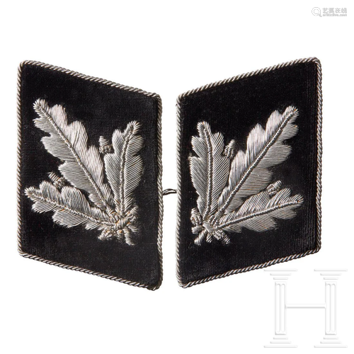 A Pair of Collar Tabs for SS-BrigadefÃ¼hrer