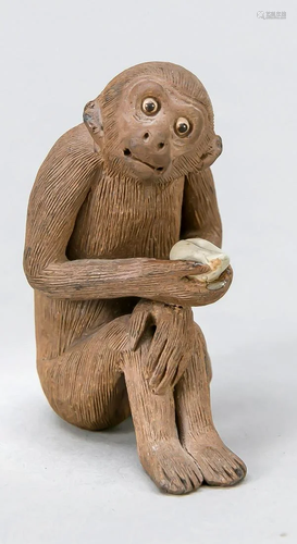 Small sitting monkey with peac