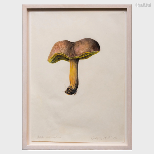 Gregory Hull (b. 1950): Boletus Subtomentosus;