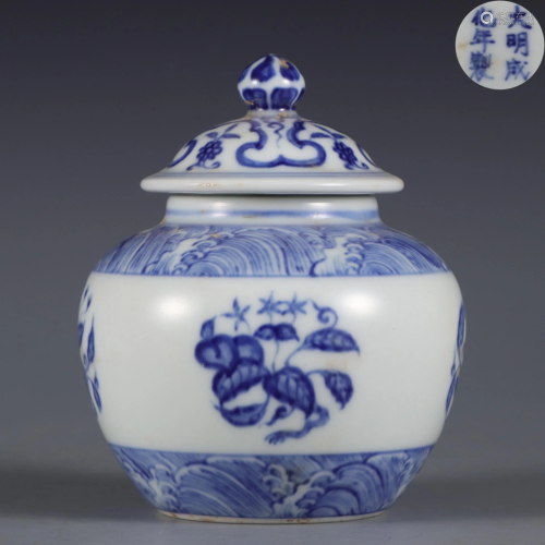 A Blue and White Floral Scrolls Jar