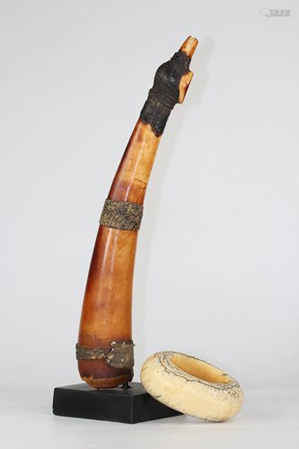 Africa trunk and bracelet collected around 1900